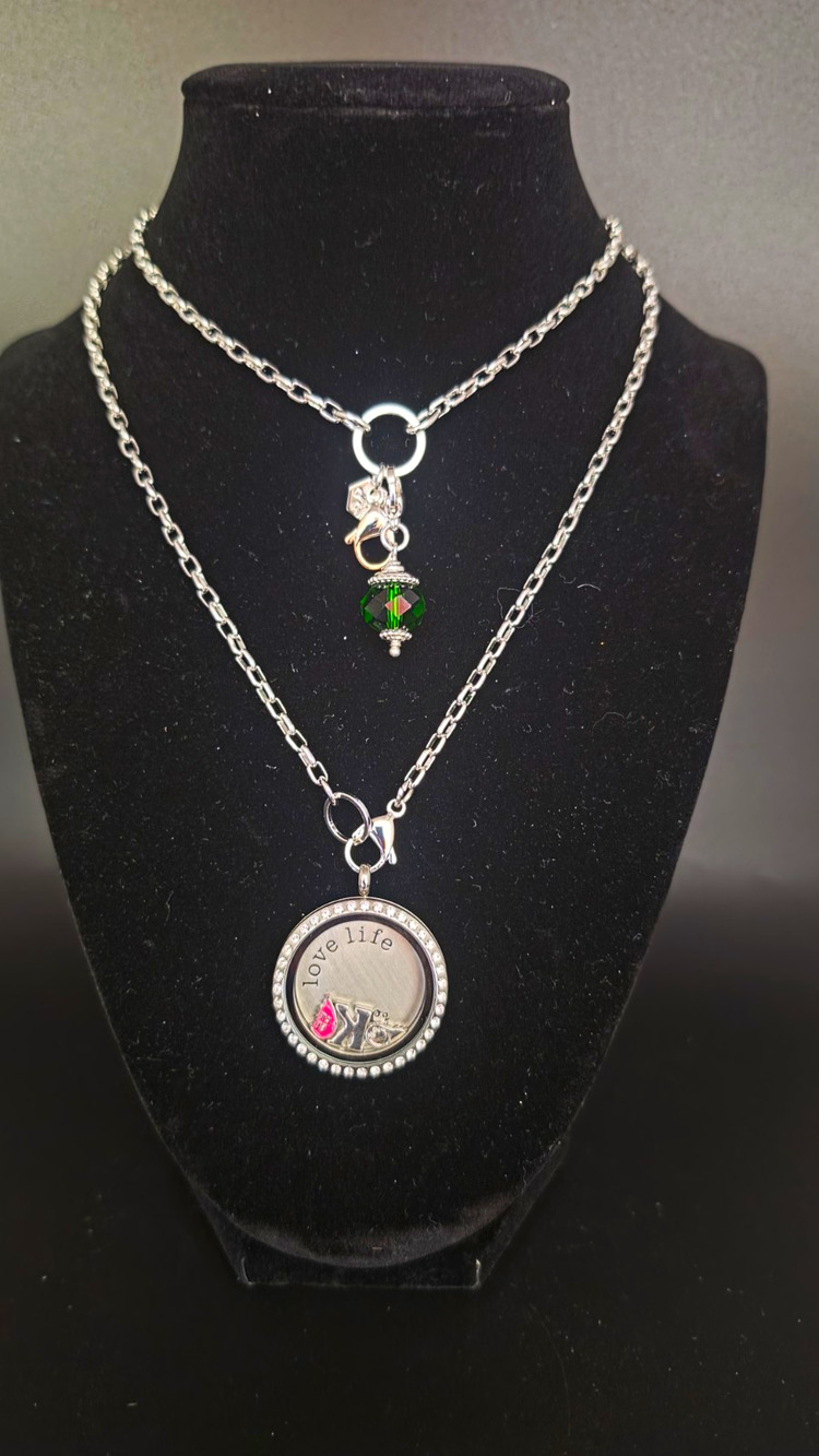 Origami Owl 36 Inch Nexklace with themed locket plate "Love Life"
